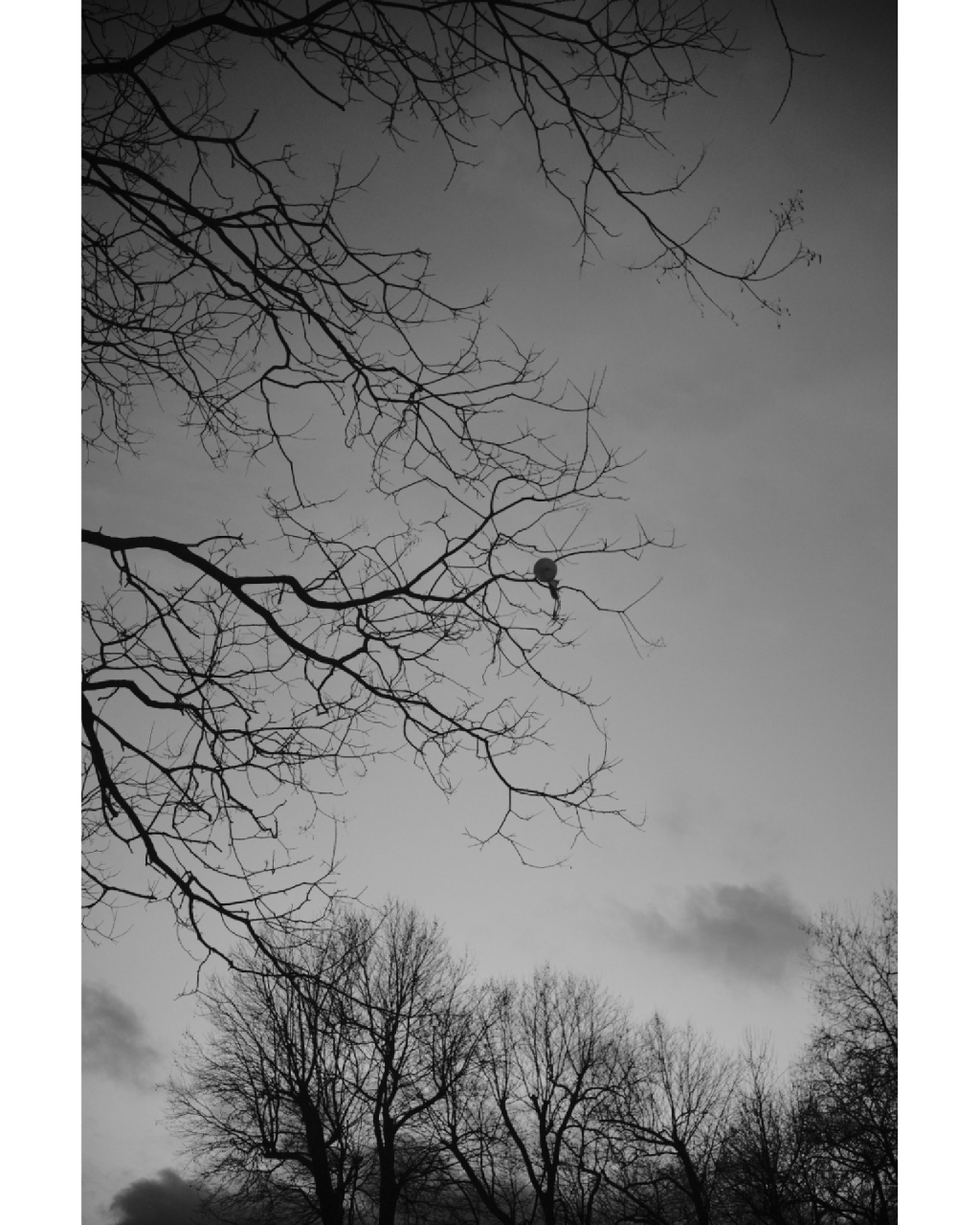 Belirsizliğe Tahammülsüzlük makalesi