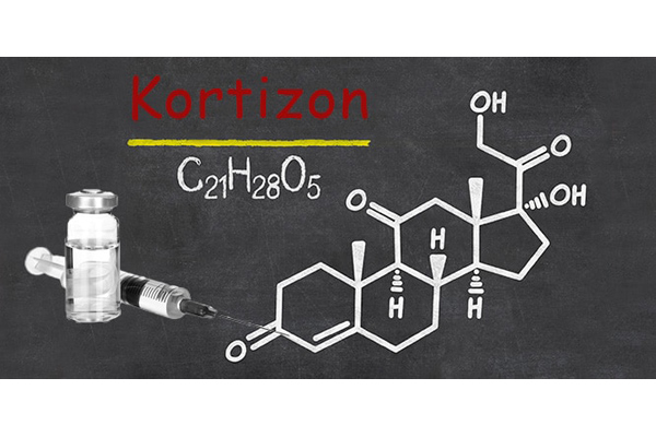 Kortizon tedavisinde dikkat edilmesi gereken beslenme yaklaşımları makalesi