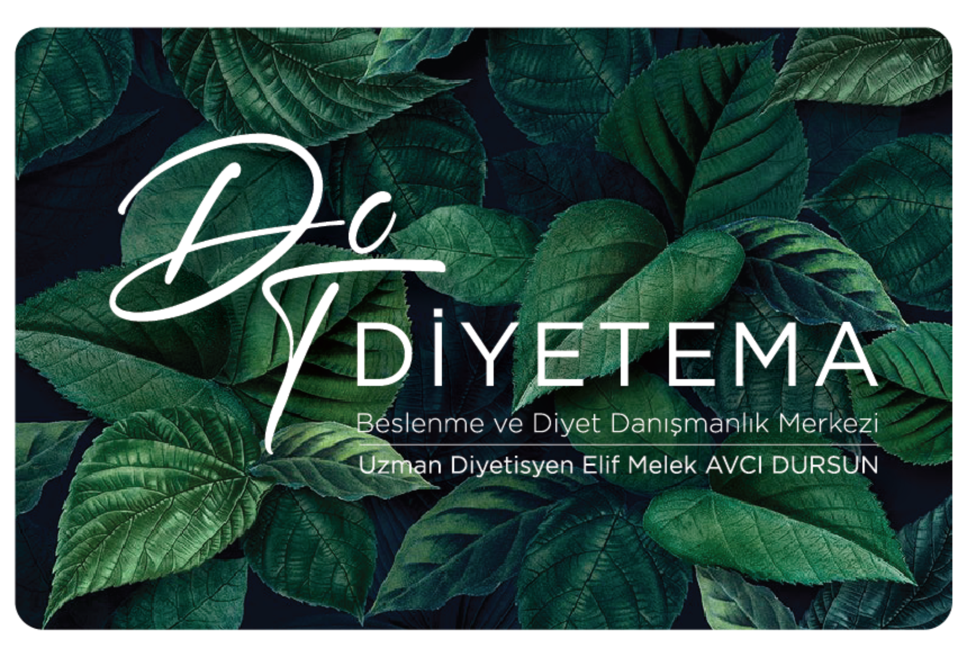 Fleksitaryen Beslenme