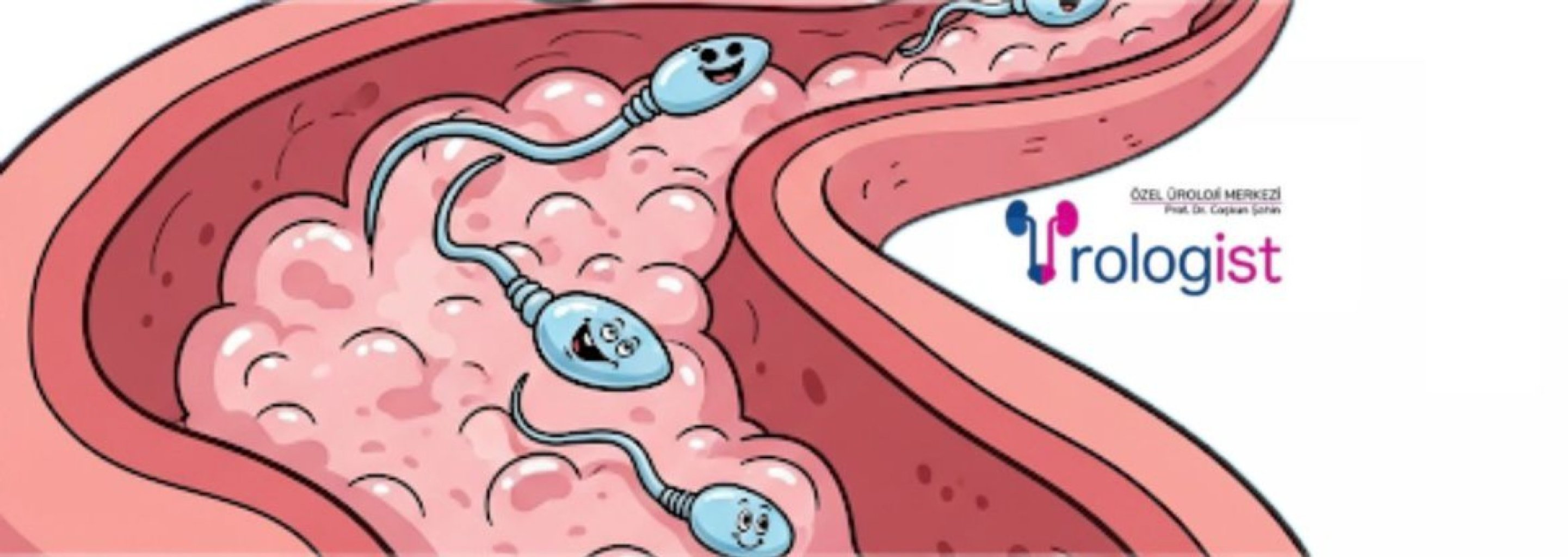 SPERM TESTİ NEDİR? | NE ZAMAN YAPTIRMALI? | YÖNTEM VE BİLMENİZ GEREKENLER
