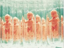TÜP BEBEK HAZIRLIK ve DESTEK PROGRAMI (HypnoBirthing Fertility Support Program)