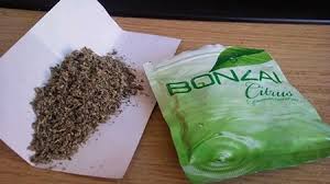 Gençlerin tehlikeli oyunu bonzai  (sentetik marihuana)