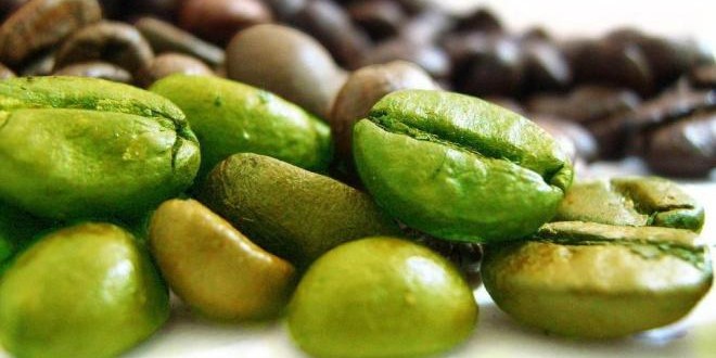 Yeşil kahve nedir? sağlığa ve zayıflamaya etkileri nelerdir?