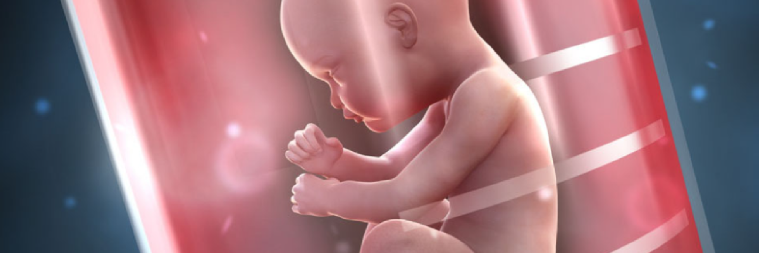 Tüp bebek uygulamasında hormon tedavisi