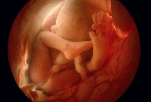 Fetal anomaliler hakkında genel bilgiler