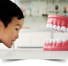 Şimdi ortodonti zamanı…