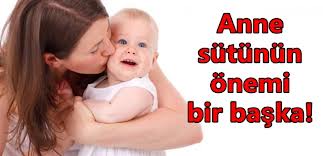 Anne sütünü artıran besinler