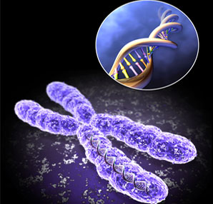 Down Sendromu Taraması