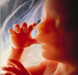 Kimlere Tüp bebek (IVF) yapılmaktadır ?