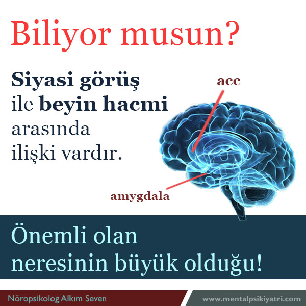 POLİTİK GÖRÜŞÜNÜZ BEYNİNİZİN HACMİNE YANSIR