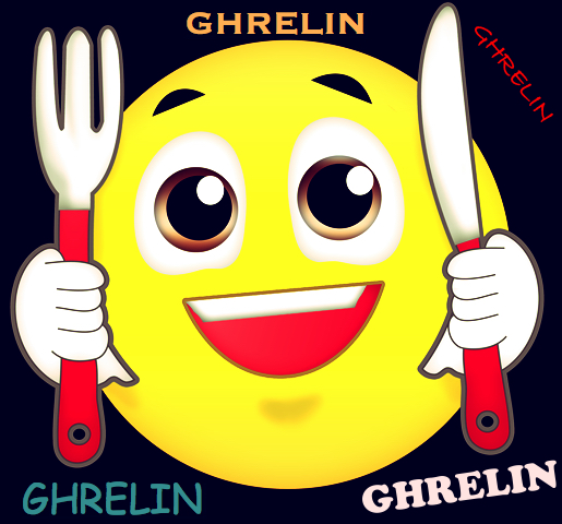 Nedir bu açlık hormonu Ghrelin?