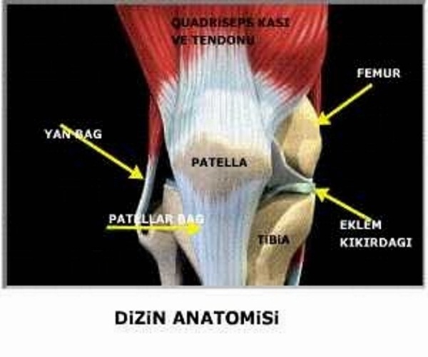 Kondromalazi patella