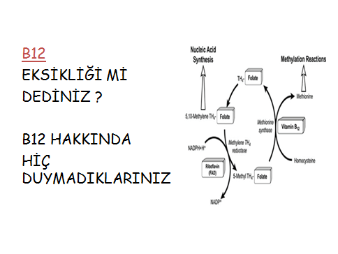 B12 Eksikliği mi Dediniz? B12 Hakkında Hiç Duymadıklarınız!