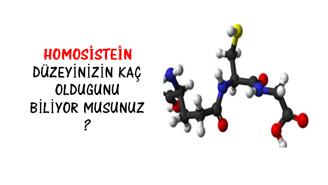 Homosistein Düzeyinizin Kaç Olduğunu Biliyor musunuz?