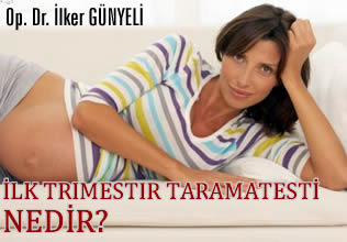 İlk trimestır tarama testi nedir?
