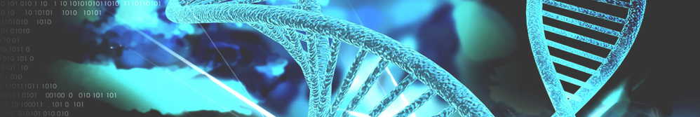 Genetik Pedigri Nedir?