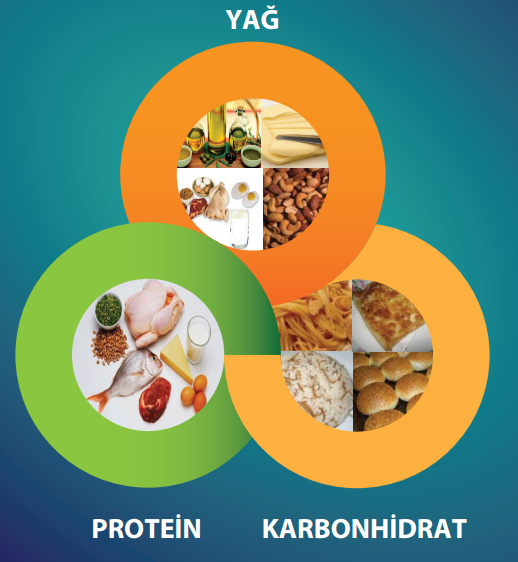 KETOJENİK DİYETE BAŞLAMA AŞAMALARI