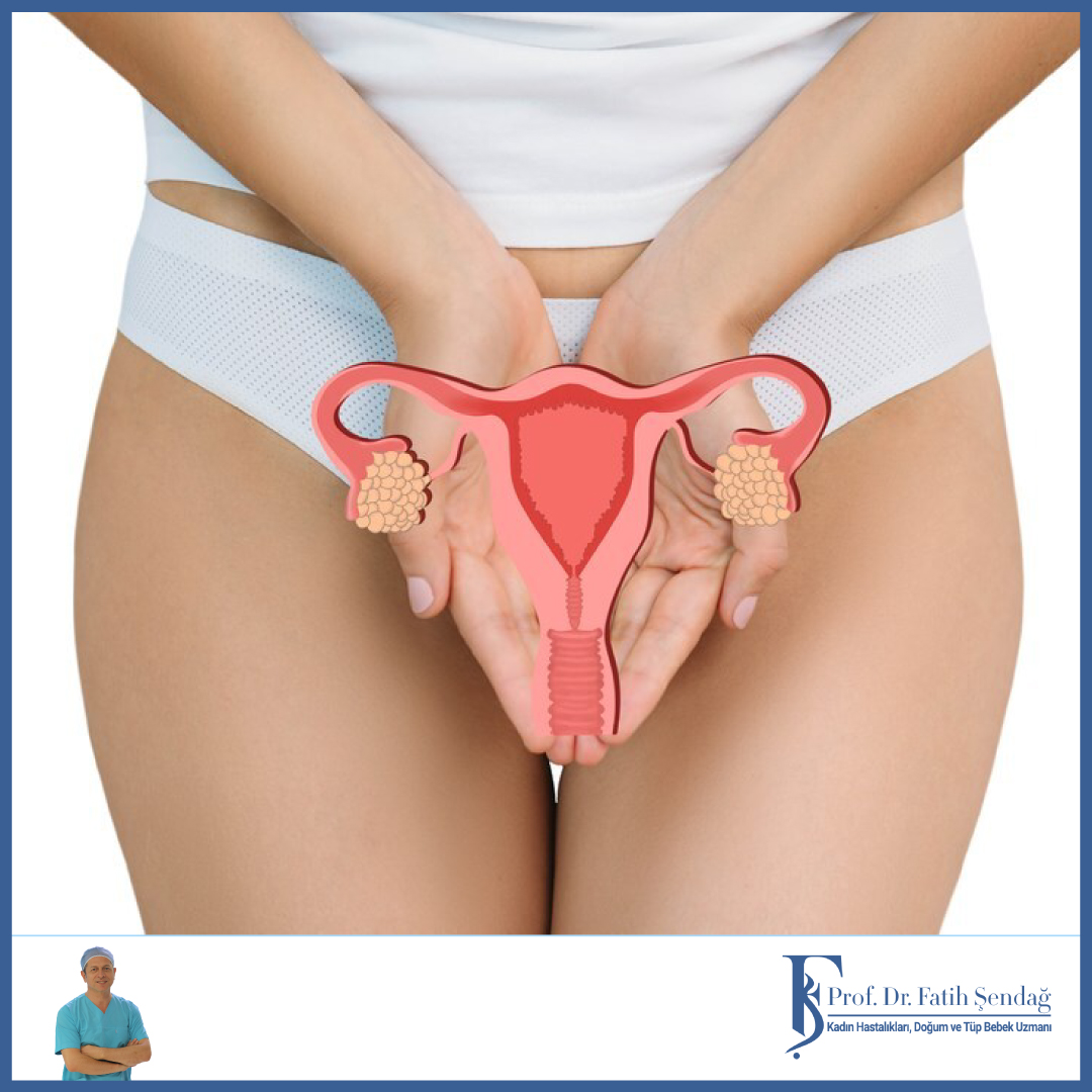 Üreme Organlarında Görülen Enfeksiyonlar