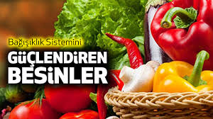 BAĞIŞIKLIK SİSTEMİNİ GÜÇLENDİREN SÜPER BESİNLER makalesi
