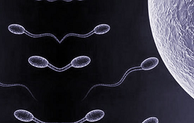 Azosperm nedir ? Nasıl Tedavi Edilir ? makalesi