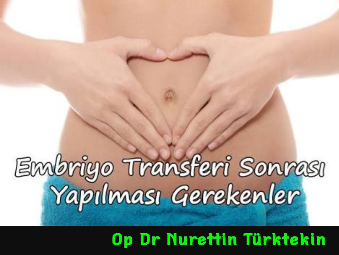 Embriyo transferi sonrası yapılması gerekenler