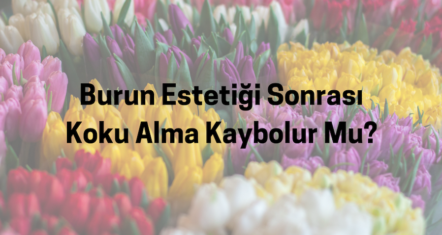 Burun Estetiği Ameliyatı Sonrası Koku Alma Kaybolur Mu?