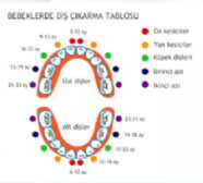 Çocuk Diş Tedavisi (Pedodonti), Koruyucu Diş Hekimliği