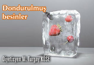Dondurulmuş besinler