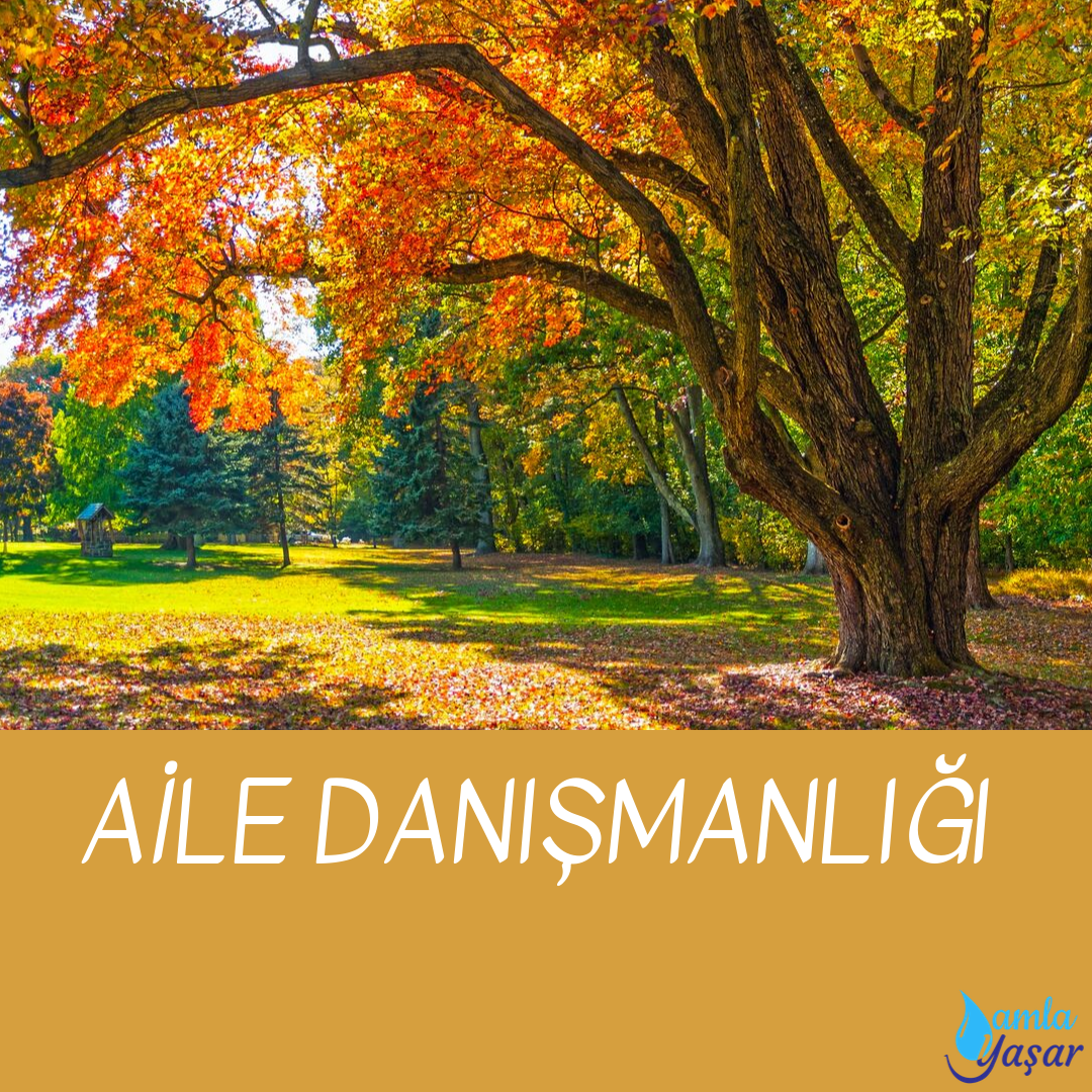 Aile Danışmanlığı nedir, Aile Danışmanı kimdir?