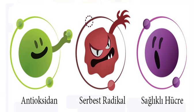 Antioksidan Nedir Ne İşe Yarar?