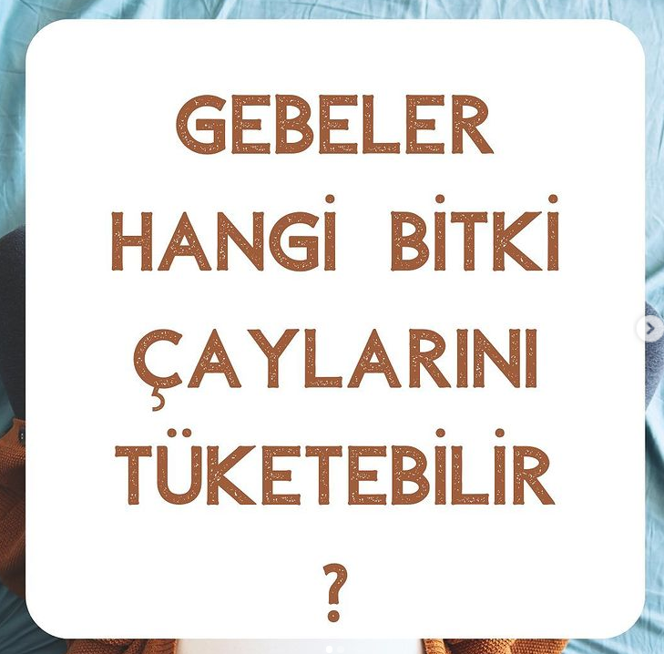 Gebeler Hangi Bitki Çaylarını Tüketebilir?