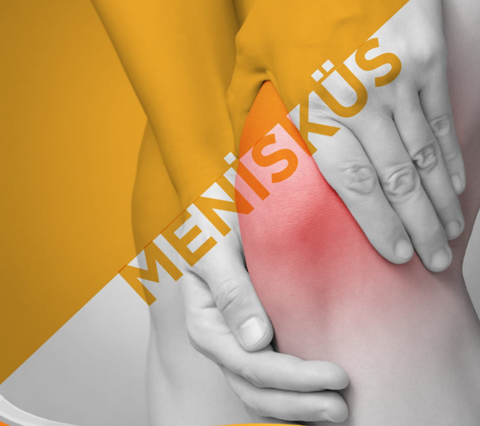 Menisküs Rahatsızlığı
