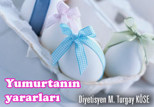 Yumurta