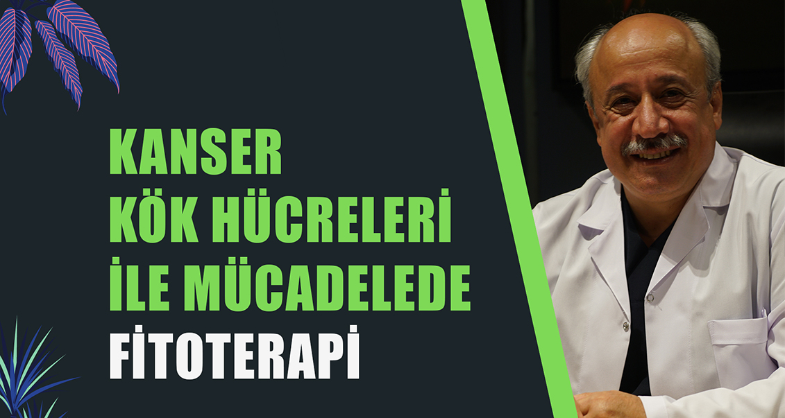 KANSER KÖK HÜCRELERİ İLE MÜCADELEDE FİTOTERAPİ