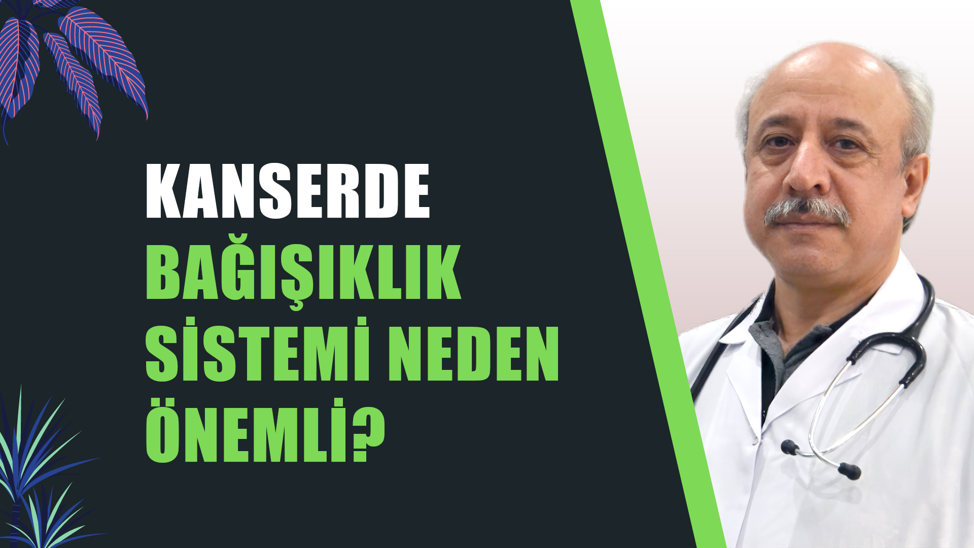 Kanserde Bağışıklık Sistemi Neden Önemli?