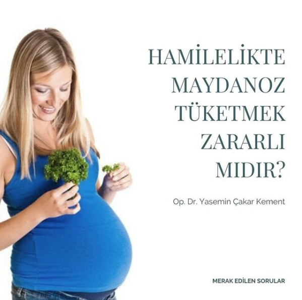 Hamilelikte Maydanoz Tüketmek Zararlı mıdır?