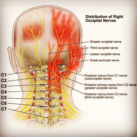 Özel Bir Baş Ağrısı Tipi: Oksipital Nevralji