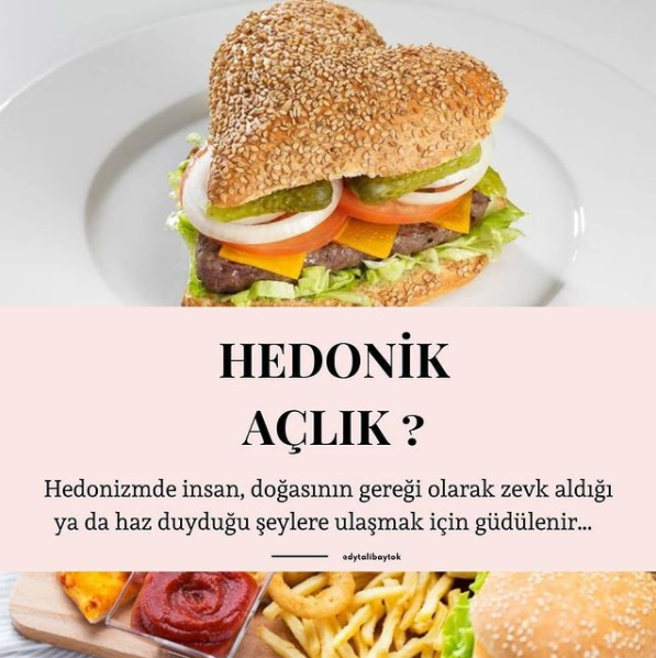 Hedonik Açlık Nedir? makalesi