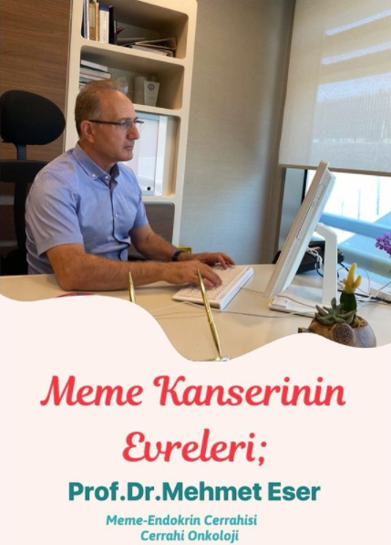 Meme Kanserinin Evreleri