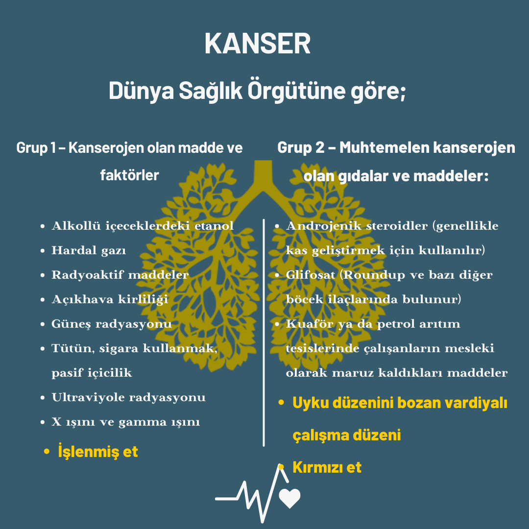 Kanser ve Beslenme Alışkanlığı makalesi