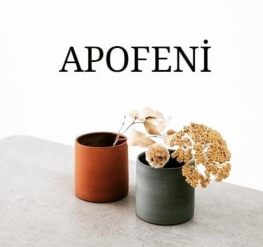APOFENİ
