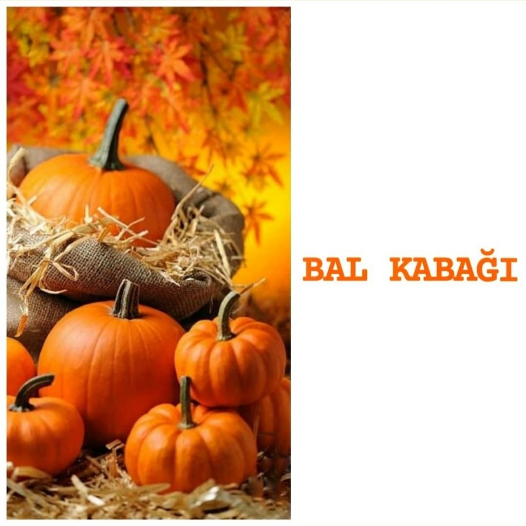 Bal kabağının faydaları