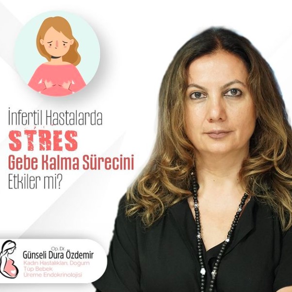 İnterfil Hastalarda Stres Gebe Kalma Sürecini Etkiler Mi? makalesi