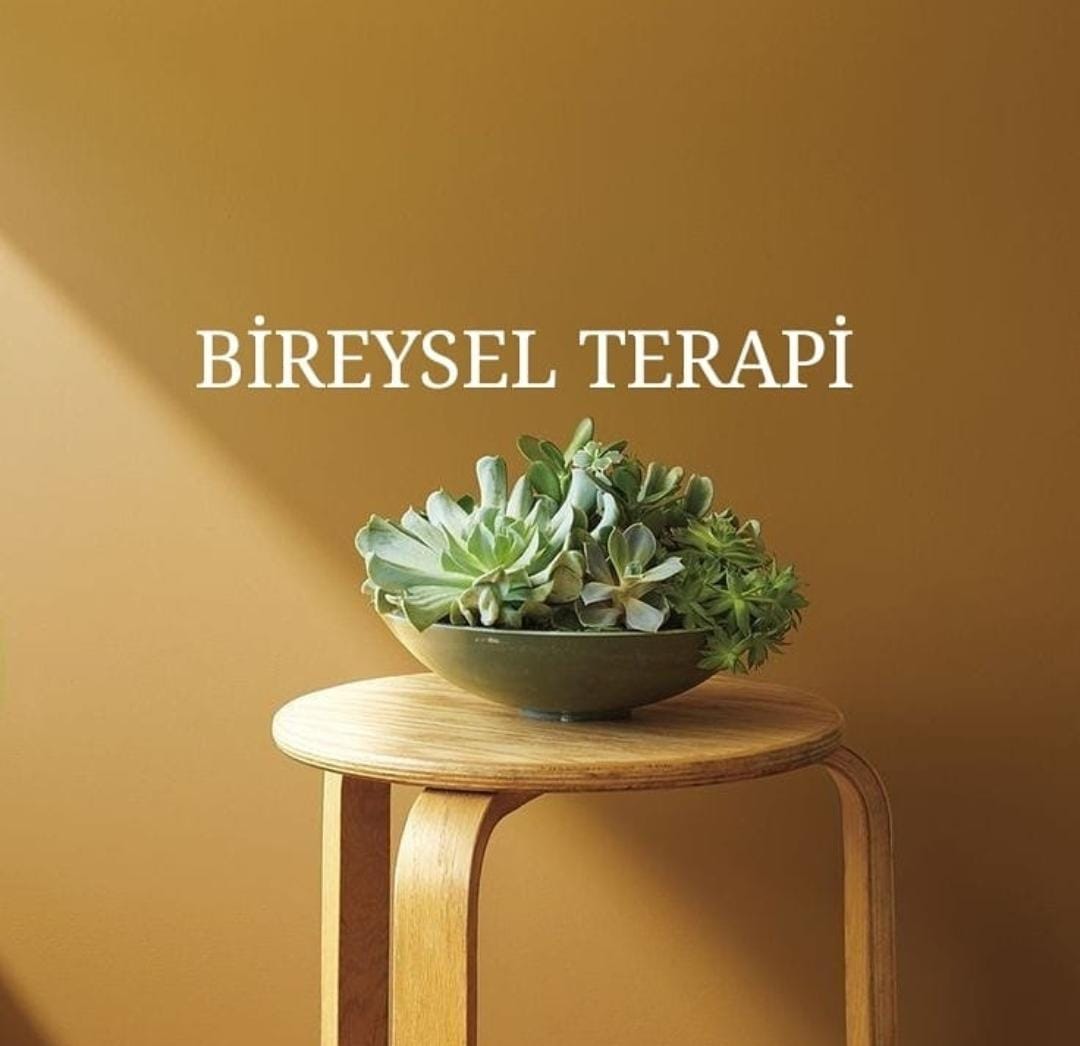 Bireysel terapi hakkında genel bilgiler