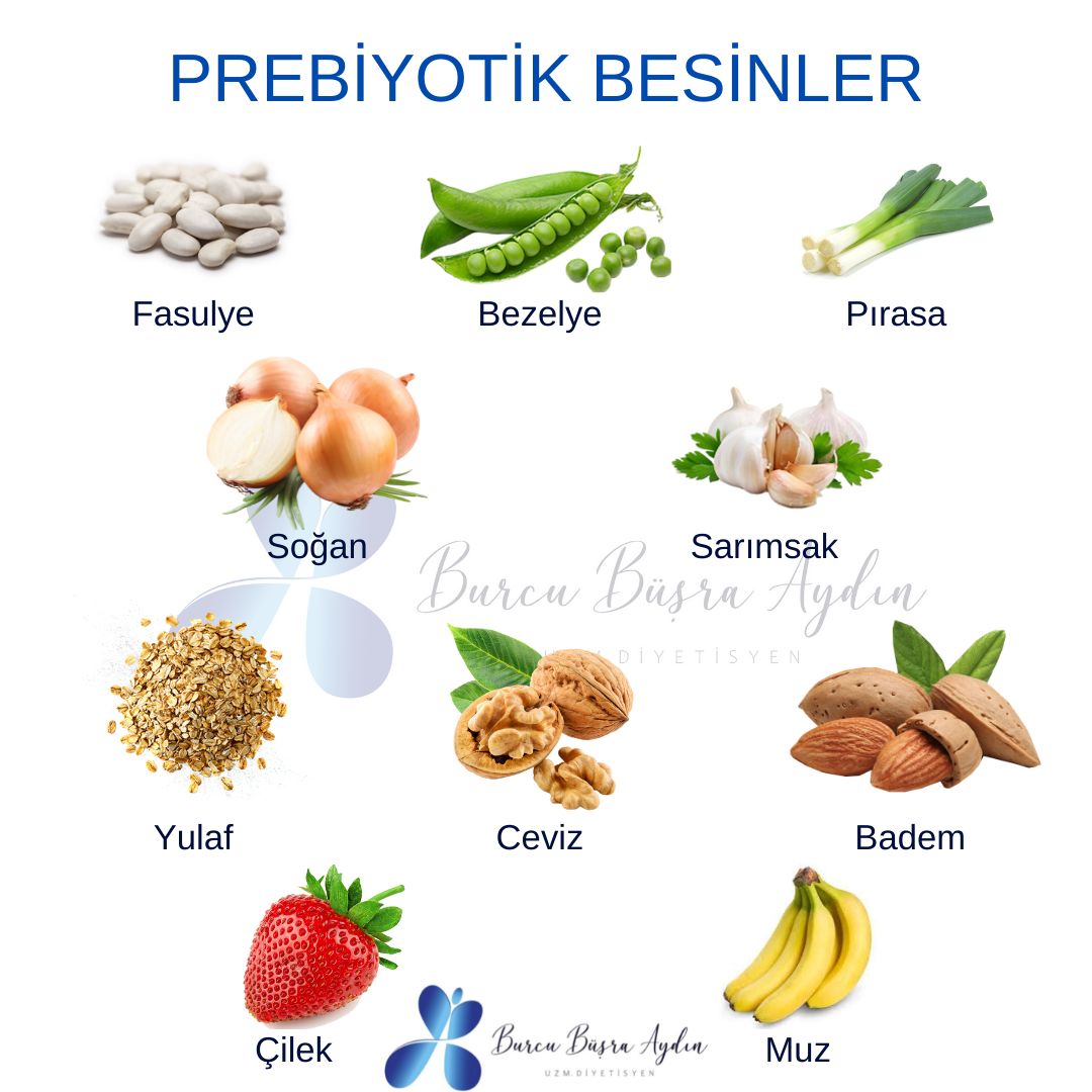 Prebiyotik Besinler makalesi