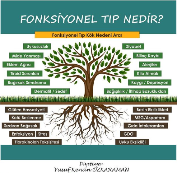 Nedir bu Fonksiyonel Tıp? makalesi