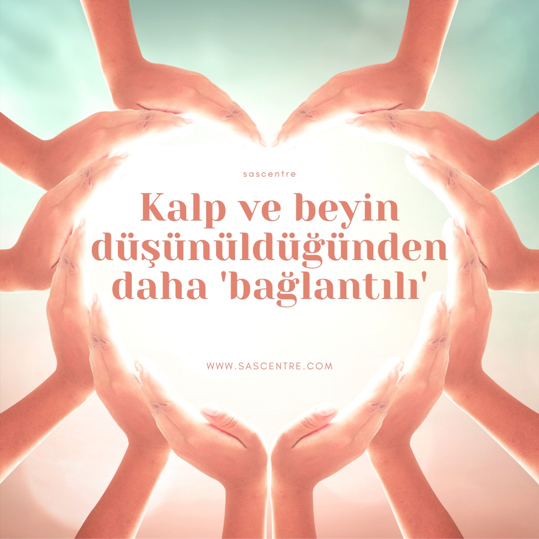 Kalp ve Beyin Arasındaki Bağlantı