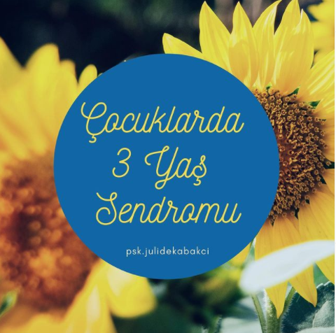 Çocuklarda 3 Yaş Sendromu makalesi