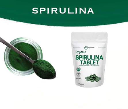 Spirulina yosunu makalesi
