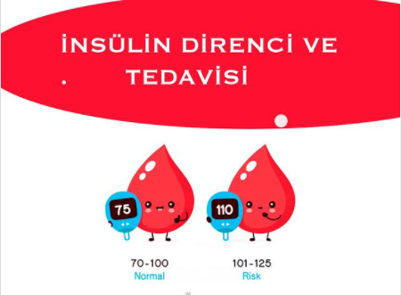 İnsülin Direnci ve Tedavisi Hakkında makalesi